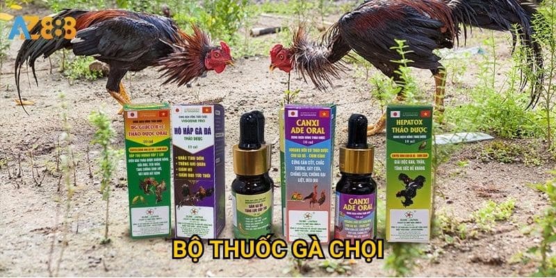 Bộ thuốc gà chọi Azbet88 có đủ để chăm sóc toàn diện? 1 Bộ thuốc gà chọi Azbet88 có đủ để chăm sóc toàn diện?